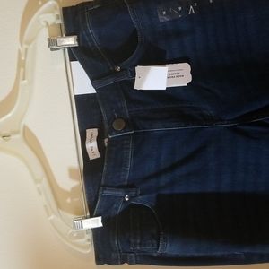 Lane Bryant Jean's, blue, size 16